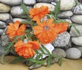 Bouquet of beautiful red poppies on a background of a stone wall Royalty Free Stock Photo