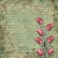 Bouquet of beautiful red tulips on the background of painted brick wall for congratulation Royalty Free Stock Photo