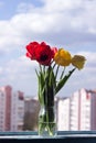 A bouquet of beautiful red and yellow tulips in a glass jar stands on the windowsill of an open window. Spring flowers at home Royalty Free Stock Photo