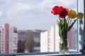 A bouquet of beautiful red and yellow tulips in a glass jar stands on the windowsill of an open window. Spring flowers at home Royalty Free Stock Photo