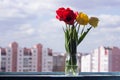 A bouquet of beautiful red and yellow tulips in a glass jar stands on the windowsill of an open window. Spring flowers at home Royalty Free Stock Photo