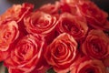 Bouquet of beautiful roses. Living coral - color of 2019. Selective focus
