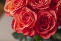 Bouquet of beautiful roses. Living coral - color of 2019. Selective focus