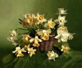 Spring flowers in still lifes. Royalty Free Stock Photo