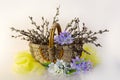 Spring flowers in still lifes. Royalty Free Stock Photo