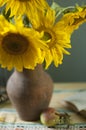 Bouquet of beautiful sunflowers in a vase Royalty Free Stock Photo