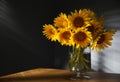 Bouquet of beautiful sunflowers in vase on table indoors. Space for text Royalty Free Stock Photo