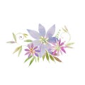 Bouquet of beautiful tender purple clematis flowers with curly shoots, leaves. Watercolor drawing Royalty Free Stock Photo