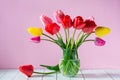 Bouquet of beautiful tulip flowers in a transparent glass vase on a pink background Royalty Free Stock Photo