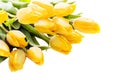 Bouquet of beautiful vivid yellow tulips