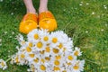 Bouquet beautiful white daisies in summer garden. Chamomiles in green grass. Women wearing in white dress and