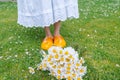 Bouquet beautiful white daisies in summer garden. Chamomiles in green grass. Women wearing in white dress and traditional dutch