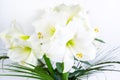 Bouquet of beautiful white lilies decorated with exotic green leaves on a white background. Greeting flowers card Royalty Free Stock Photo