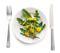 Bouquet of beautiful yellow dandelions on plate. Salad on white isolated background