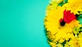 Bouquet of beautiful yellow gerberas and chrysanthemums with red carnations and ladybug. Royalty Free Stock Photo