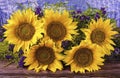 A bouquet of beautiful yellow sunflowers and purple dried flowers close-up on a blue background. Royalty Free Stock Photo