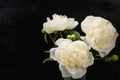 Bouquet of beautifull peonies flowers. Top view. Royalty Free Stock Photo