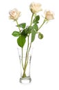 Bouquet of beauty roses in glass vase