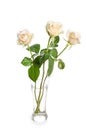 Bouquet of beauty roses in glass vase