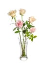 Bouquet of beauty roses in glass vase