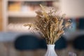 Bouquet of beige dried flowers in white vase on morning light background Royalty Free Stock Photo