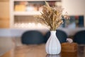 Bouquet of beige dried flowers in white vase on table against morning light background Royalty Free Stock Photo