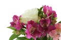 Bouquet of big white roses, pink and lilac alstroemeria flowers isolated on white background. Royalty Free Stock Photo