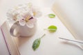 Bouquet of blooming apple flowers in a small mug vase on a creamy blank book with a pen and green leaves, inspiration for writing Royalty Free Stock Photo