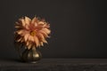 Bouquet of blooming chrysant flowers in a golden vase on a table in a classical fine art image