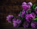 Bouquet of blooming clover on the wooden background.