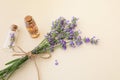 Bouquet of blooming lavender and small glass bottles with essential lavender oil and flowers on beige background Royalty Free Stock Photo