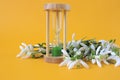 A bouquet of blooming snowdrops with an hourglass on a yellow background, a side view, a place for text-the concept of the arrival Royalty Free Stock Photo