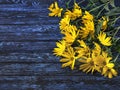 Bouquet of blooming yellow autumn flowers on the background of dark boards with a blue pattern on the wood Royalty Free Stock Photo