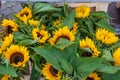 Bouquet of Blooming yellow Sunflowers in the street market, flowers for sale Royalty Free Stock Photo