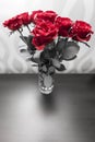 Bouquet of blossoming dark red roses in vase Royalty Free Stock Photo