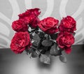 Bouquet of blossoming dark red roses in vase Royalty Free Stock Photo