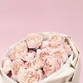 Bouquet blossoming delicate david austin roses, soft blooming rose flowers on pink background Royalty Free Stock Photo