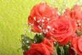 bouquet of blossoming red roses in vase, close up flower Royalty Free Stock Photo