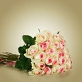 Bouquet of blossoming roses Royalty Free Stock Photo