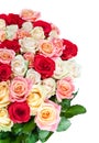 Bouquet of blossoming roses Royalty Free Stock Photo