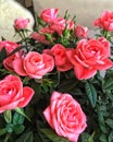 Bouquet of many blossoming roses Royalty Free Stock Photo