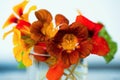 Bouquet of blossoming water cress in glass, closeup. Royalty Free Stock Photo