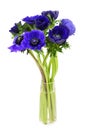 Bouquet of blue anemome flowers in a glass vase