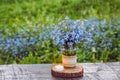 Bouquet of blue blossom wild flowers Myosotis also known as Forget me not. Royalty Free Stock Photo