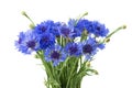 Bouquet of blue cornflowers isolated on white background. Selective focus Royalty Free Stock Photo