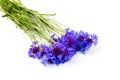 Bouquet of blue cornflowers isolated on white background. Space for text Royalty Free Stock Photo