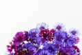 Bouquet of blue cornflowers isolated on white background. Space for text Royalty Free Stock Photo