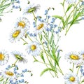 Bouquet blue flower with chamomile watercolor seamless pattern Royalty Free Stock Photo