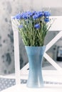 A bouquet of blue flowers of vase cornflowers on a white chair i Royalty Free Stock Photo