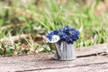 A bouquet of blue of forest flowers in a tin watering can on a wooden retro board on a flower meadow Royalty Free Stock Photo